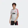 阿迪达斯/Adidas MUFC TR JSY Y 曼联童款训练短袖 DP6829