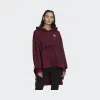 阿迪达斯/Adidas HOODIE 运动套头衫 FT9889