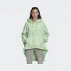 阿迪达斯/Adidas HOODIE 运动套头衫 FT9890