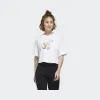 阿迪达斯/Adidas adidas neo 白/清澈粉 女士 adidas neo W DSNY DD TEE1 Disney唐老鸭运动短袖 GJ5650