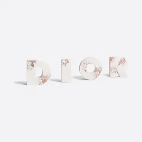 迪奥/Dior DIOR AND DANIEL ARSHAM 未来遗迹 D.I.O.R 蚀刻字母 00X0003HOMHY_C400_TU