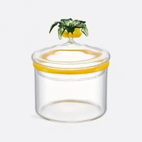 迪奥/Dior Tutti Frutti 装饰盒 透明新款香蕉树装饰 HYI01BDF0U_C200_TU