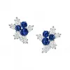 海瑞温斯顿/HarryWinston Berry Cluster蓝宝石和钻石耳环 EASPCLRFBER