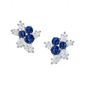海瑞温斯顿/HarryWinston Berry Cluster蓝宝石和钻石耳环 EASPCLRFBER