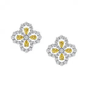 海瑞温斯顿/HarryWinston Diamond Loop黄色蓝宝石和钻石耳环 EAYSPRPMEL4C