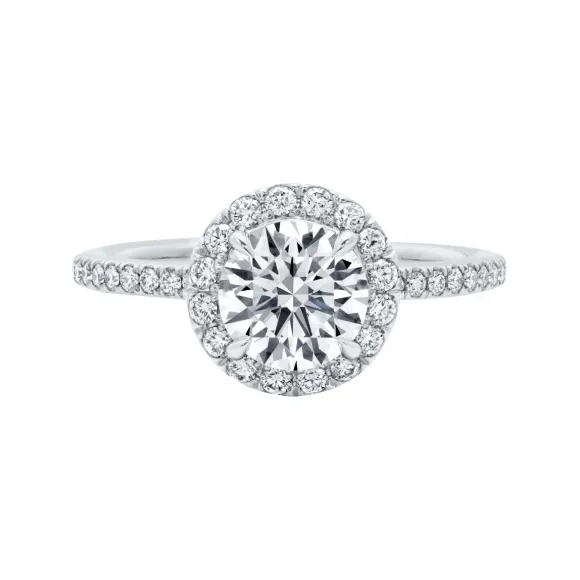 海瑞温斯顿/HarryWinston The One圆形明亮式切工订⁠婚钻戒 RGDPRD010MIC