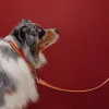 爱马仕/Hermes Rocabar犬链 H068629CJ3O100