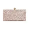 Jimmychoo/吉米周 方形推扣玫瑰木混色彩漆闪粉面料手拿包  CELESTESOGC112108
