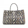 Jimmychoo/吉米周 天然和紫色蓝色彩绘蟒蛇皮手提袋 j000070583001