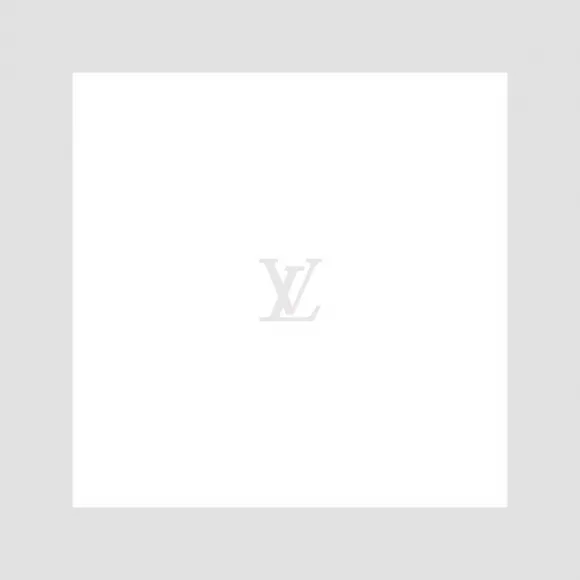路易威登/Louis Vuitton(LV) 鞋撑 - 鞋子 455439