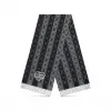 路易威登/Louis Vuitton(LV) LV MADE STRIPE 围巾 MP3256