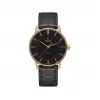 雷达/Rado 瑞士雷达表晶璨系列经典腕表 自动机械机芯 男表 R22861165