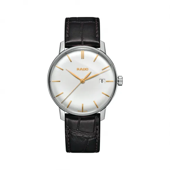 雷达/Rado 瑞士雷达表晶璨系列经典腕表 石英机芯 男表 R22864035
