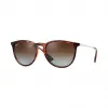 Ray-Ban 雷朋 爱丽卡·经典 RB4171F 玳瑁色 - 尼龙 - 茶色 偏光镜片 - 0RB4171F710/T554