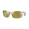 Ray-Ban 雷朋 Rb8305m Scuderia Ferrari Collection RB8305M 灰色 - 碳纤维 - 金 偏光镜片 - 0RB8305MF0066B64