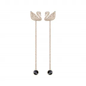 施华洛世奇/Swarovski Iconic Swan 穿孔耳环, 咖啡色, 镀玫瑰金色调 5373164