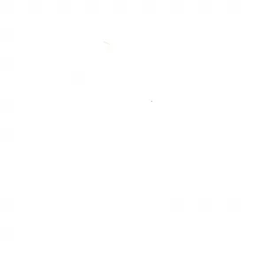 施华洛世奇/Swarovski African Sunset花瓶 5557862