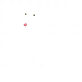 施华洛世奇/Swarovski Harry Potter Hedwig 5585969