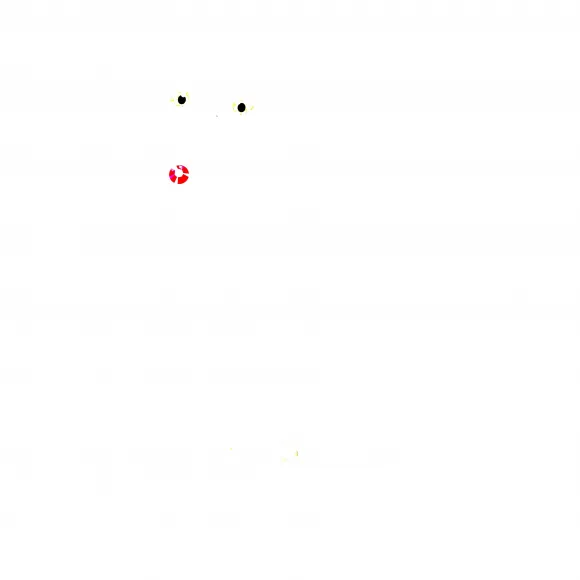 施华洛世奇/Swarovski Harry Potter Hedwig 5585969