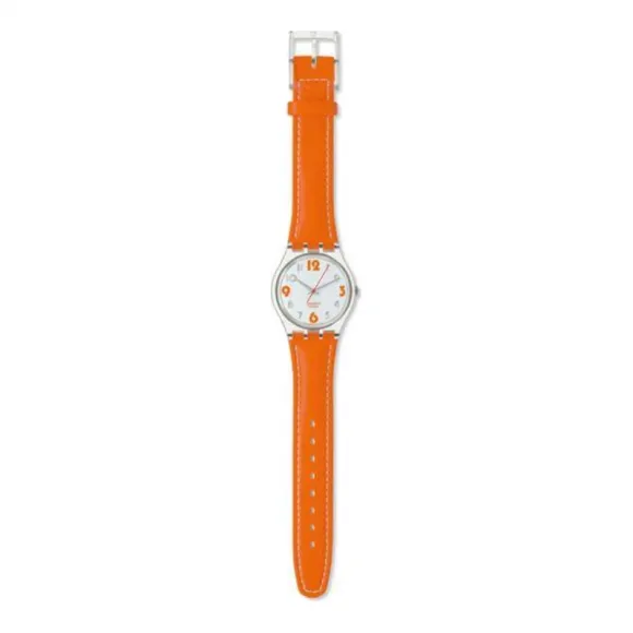 斯沃琪/Swatch Gent   GE151