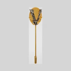 Versace  Virtus别针 DG67913-DJMT_D00PI