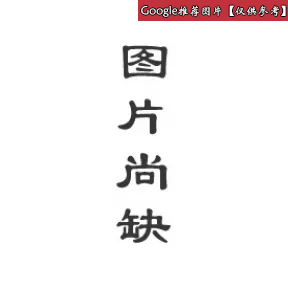 西铁城/Citizen  不锈钢   机械 男表 NH6040-57LB