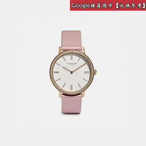 蔻驰/Coach  女士 AUDREY腕表，35MM W1657-LLB