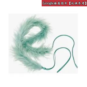 普拉达/Prada 薄荷绿  肩带 1TY020 WNG F0223