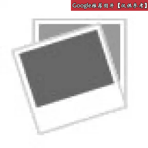 兰蔻/Lancome 升级版瞬白亮肌气垫粉底 P-02 (单件装) 00303-LAC