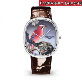 百达翡丽/Patek Philippe 珍稀工艺系列 34.5MM 18k白金 自动机械 男表 5738-50G-011