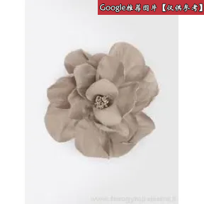 麦丝玛拉/Max Mara 棕色 胸针 6751046106002