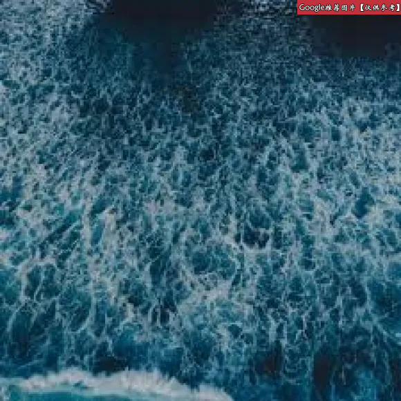 海蓝之谜/La Mer 鎏光焕变蜜粉饼 83139