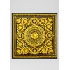 范思哲/Versace Barocco Istante 真丝围巾 IFO9001-IT01957_I7047