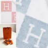 爱马仕/Hermes 灰色 Avalon毛巾 H102192M_03