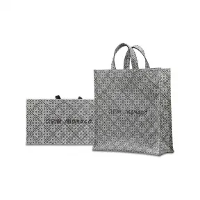 APM FESTLVAL托特包 ACCESS9EDB