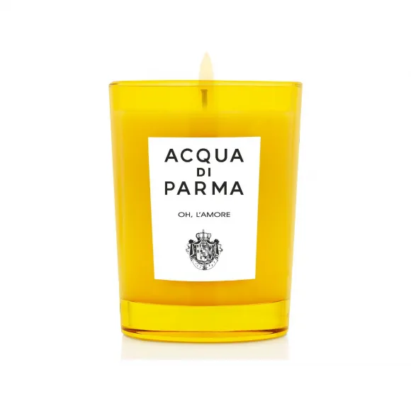 帕尔玛之水/Acqua di Parma CANDLE HOME COLLECTION ADP62002-ONESIZE