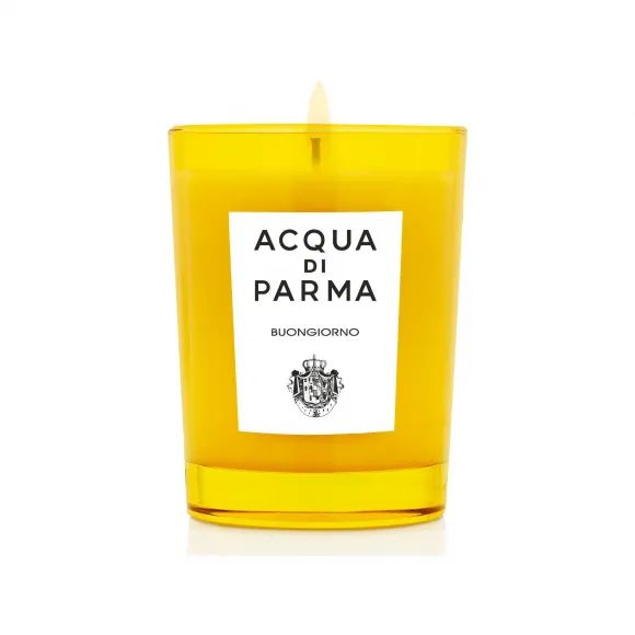 帕尔玛之水/Acqua di Parma CANDLE HOME COLLECTION ADP62003-ONESIZE