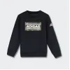 阿迪达斯/Adidas LB CREW SWEAT 小童套头卫衣 CE8242