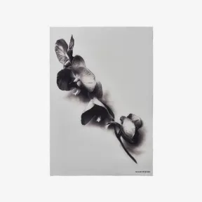 亚历山大麦昆/Alexander McQueen 女士象牙色/黑色兰花茎披肩 7670843201Q9260 813228134