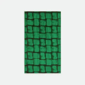 葆蝶家/Bottega Veneta 鹦鹉绿/黑色 100% 棉 男士 沙滩毛巾 707814V26S04842