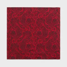 思琳/Celine 男士 佩斯利印花羊绒围巾 2AWB3309E.27RB