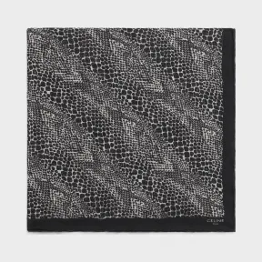 思琳/Celine 男士 羊毛棉布印花围巾 2AWB4665E.38VA