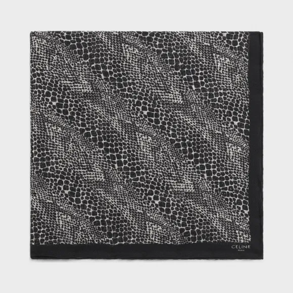 思琳/Celine 男士 羊毛棉布印花围巾 2AWB4665E.38VA