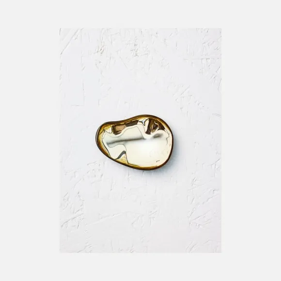 思琳/Celine  蜂蜜色涂漆黄铜和树脂胸针 46H816RVB.03HN