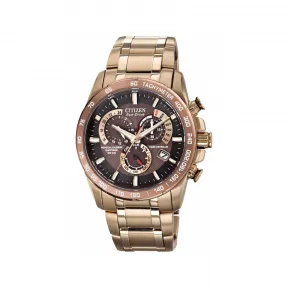 西铁城/Citizen Eco-Drive 环保驾驶 男表 AT4106-52X