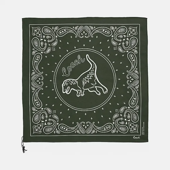 蔻驰/Coach REXY大手帕 42404_OE0