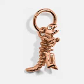 蔻驰/Coach  女士 SKELETAL REXY挂件 89877-B7M