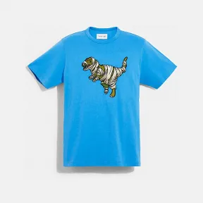 蔻驰/Coach COACH X MICHAEL B. JORDAN 棉T恤，点缀干化 REXY 挂件 C6714-BLU-XXL