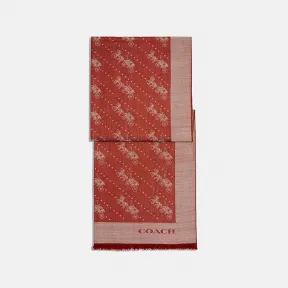 蔻驰/Coach 马车图案圆点印花披巾 C8367-SAR