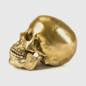 迪赛/Diesel 10891 Wunderkammer 摆件 HA0120HA000